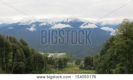 snow-capped peaks the forest on a mountain