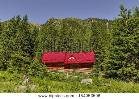 Mountain landscape with wooden mountain chalet near pine tree fores under the peak.
