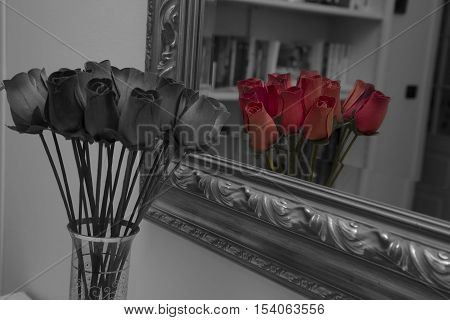 reflected the mirror of a flower pot