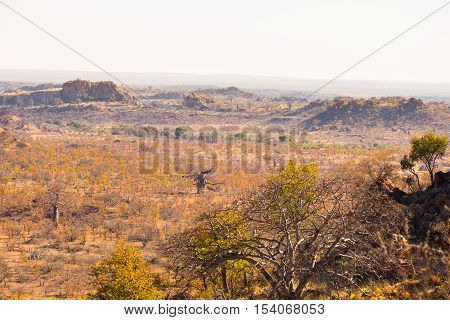 The Desert Landscape Of Mapungubwe National Park, Low Key But Majestic Travel Destination In South A
