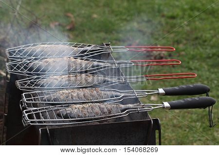 Fish grill / There are fish on the grill and grilled. An raw freshwater fish on the grill. Cooked in traditional style. Cooking of salted fish on a grill stove.