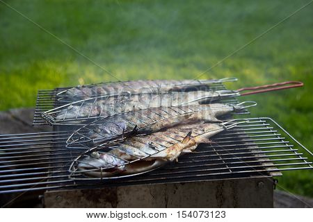 Fish grill / There are fish on the grill and grilled. An raw freshwater fish on the grill. Cooked in traditional style. Cooking of salted fish on a grill stove.