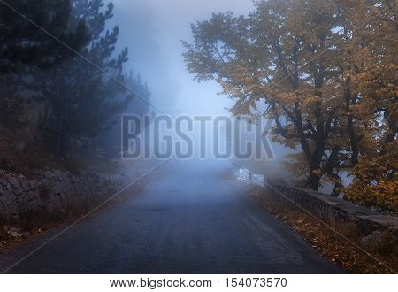 Mystical Autumn Forest With Road In Fog