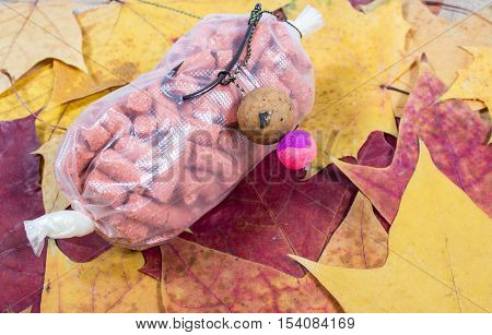 Carp Hook Boilies, Pva, Pop Up - Fishing Bait Close Up