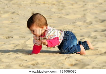 A baby crowl on a sandy beach.