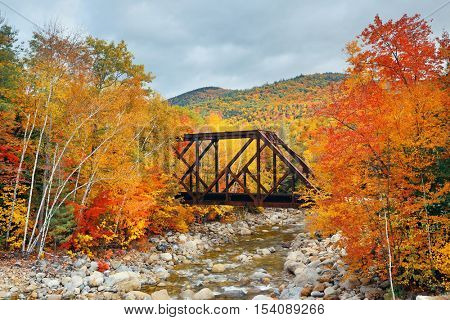 Railway bridge in woods with colorful foliage, White Mountain, NH