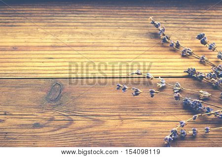 Rustic wooden texture. Natural background with dried lavender herb.