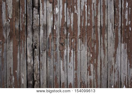 Thin weathered wood board wall with peeling paint