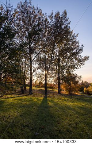 Beautiful colors of autumn in the park at sunset