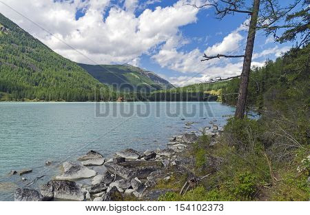 Rocky shore. Kucherla lake. Altai Mountains Russia. Sunny summer day.