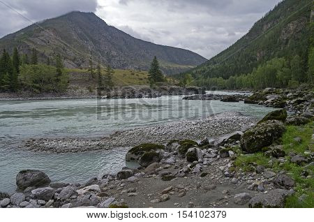 Argut River before flowing into the Katun river. Altai Mountains Russia. Cloudy day in August.
