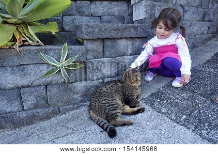 Little Girl Petting A Cat
