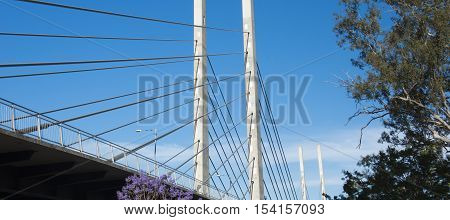 View Of The Eleanor Schonell Bridge