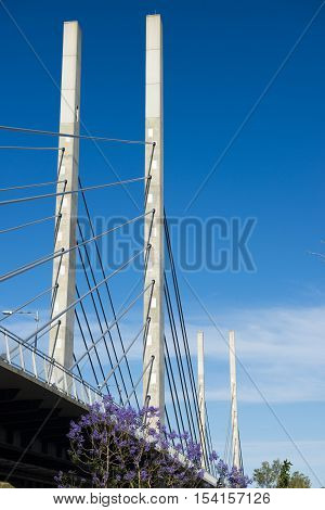 View Of The Eleanor Schonell Bridge