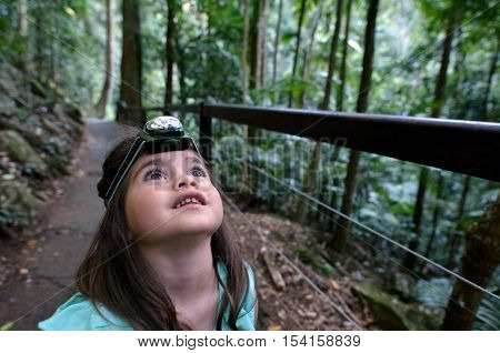 Springbrook National Park - Queensland Australia
