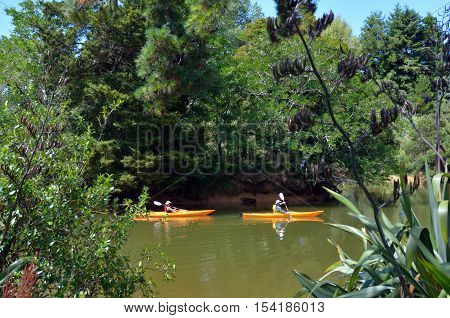 Couple kayaking over Matakana river with Kayaks in Matakana New Zealand