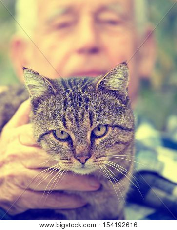Cat In Old Man's Lap