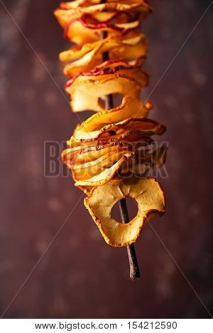 Dried apple slices hanging on string with dark metal backdrop