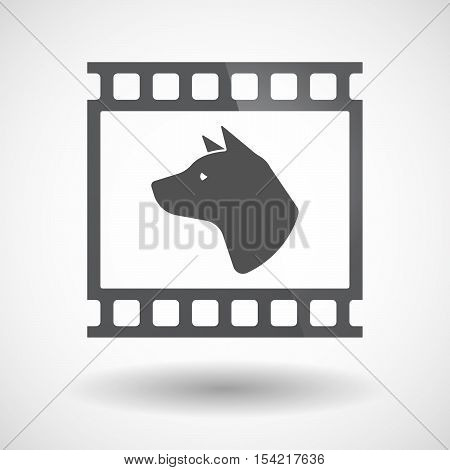 Isolated 35Mm Film Frame Slide Photogram With  A Dog Head