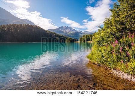 Great view of the azure pond Champfer in alpine valley. Popular tourist attraction. Picturesque and gorgeous scene. Location Swiss alps, Silvaplana village, district of Maloja, Europe. Beauty world.