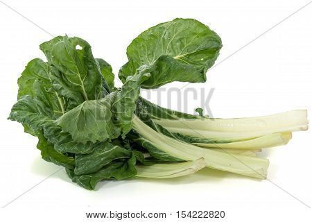 a chard on isolated a white background