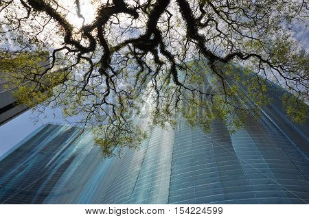 Sao Paulo Brazil - October 5: Copan Building seen from the sidewalk on October 5 2014 in downtown Sao Paulo. Copan Building is a residential building in Sao Paulo. It is one of the largest buildings in Brazil.