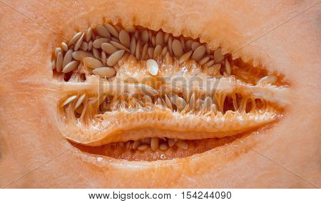 Open half of cantaloupe melon sitting on bright blue wooden table