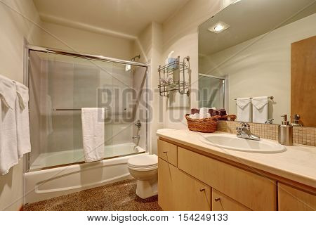 Traditional Bathroom Interior In American House