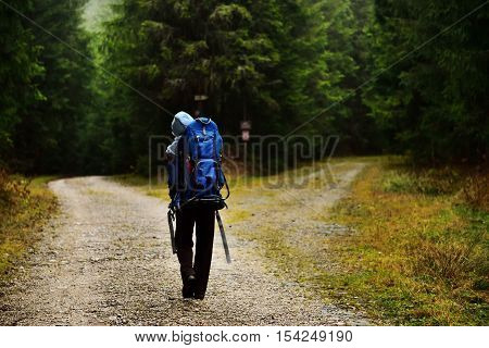 Young Mother Trekking, Carrying Her Baby In A Baby Backpack