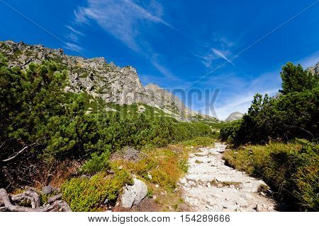 Beautiful Mlynicka dolina on the way to Bystre sedlo - in slovakian high Tatra mountains. Summer panorama with great weather and blue sky