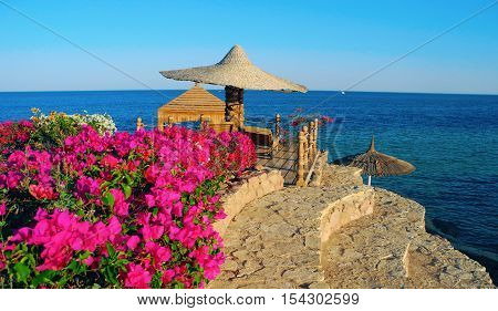 Sharm El Sheikh Egypt - August 20 2016: Beach umbrellas and flowers on the coral beach in Sharm El Sheikh.