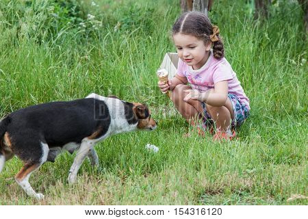 Happy little girl wants to caress mongrel dog outdoors