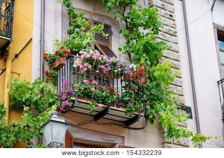 Beautiful italian balcony with variuos flowers on summer day