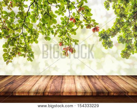 Empty of wood table with green leaves on abstract bokeh natrue background