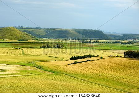 Scenic Landscape Of A Yellow And Green Meadow