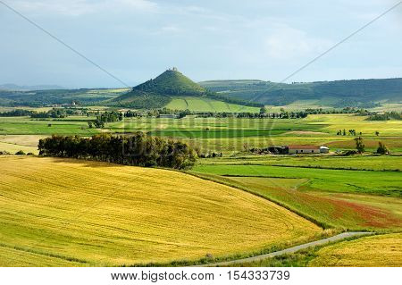 Scenic Landscape Of A Yellow And Green Meadow