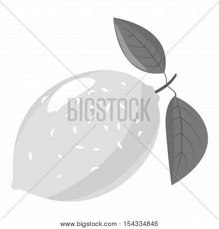 Lemon icon. Gray monochrome illustration of lemon vector icon for web