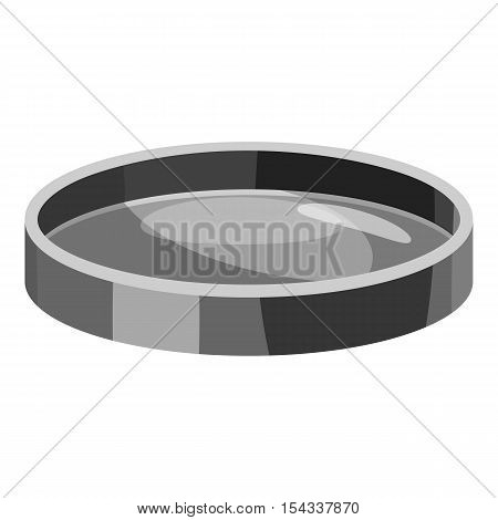 Filter lens icon. Gray monochrome illustration of filter lens vector icon for web