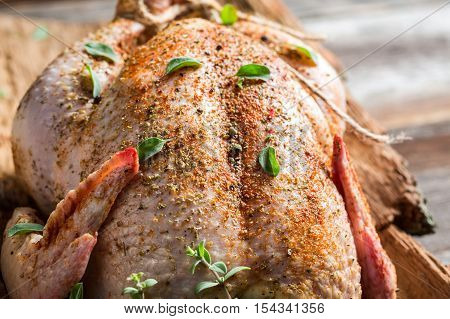 Closeup of raw chicken with herbs on wooden table