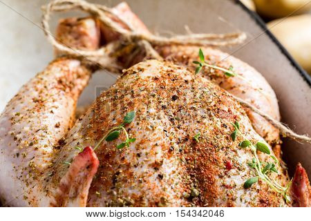 Closeup of spiced raw chicken on wooden table