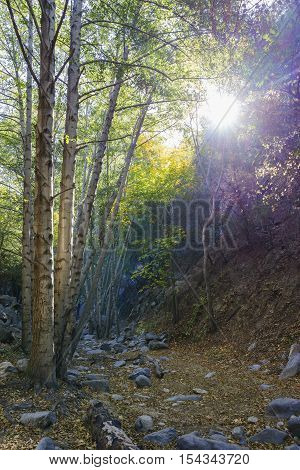 Beautiful Fall Color Of Switzer Falls Trail