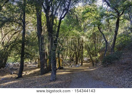 Beautiful Fall Color Of Switzer Falls Trail