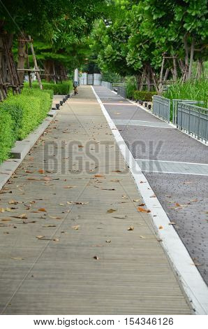 Brick and wooden walkway to the trees