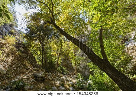 Beautiful Fall Color Of Switzer Falls Trail
