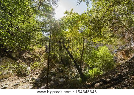 Beautiful Fall Color Of Switzer Falls Trail