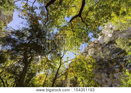 Beautiful Fall Color Of Switzer Falls Trail