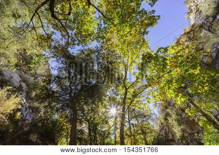 Beautiful Fall Color Of Switzer Falls Trail