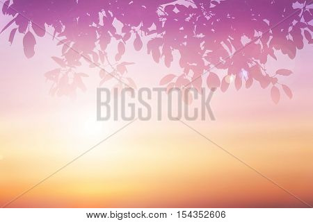 Abstract background of blurred colorful sunset sky with silhouette leaf in the foreground. Orange and purple clouds gradient. Peaceful rays light sandy beach. Blur glow bokeh colorful sunshine.
