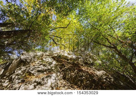 Beautiful Fall Color Of Switzer Falls Trail