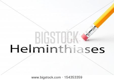 Closeup of pencil eraser and black helminthiases text. Helminthiases. Pencil with eraser.